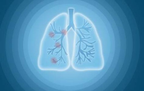 促排讓你避免出現空卵泡的妙招，日常吃什么很關鍵